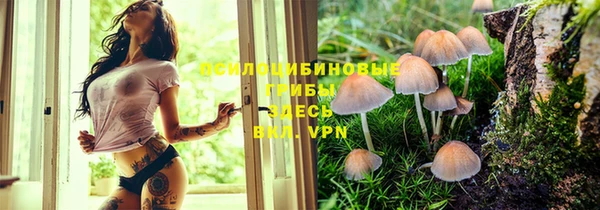 первитин Арсеньев