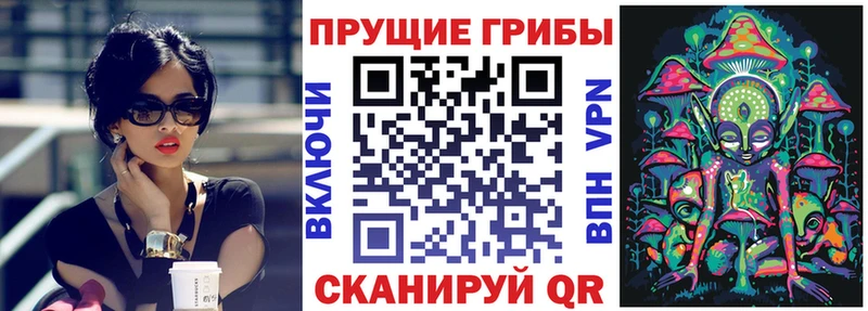 omg сайт  Урюпинск  Псилоцибиновые грибы мухоморы 